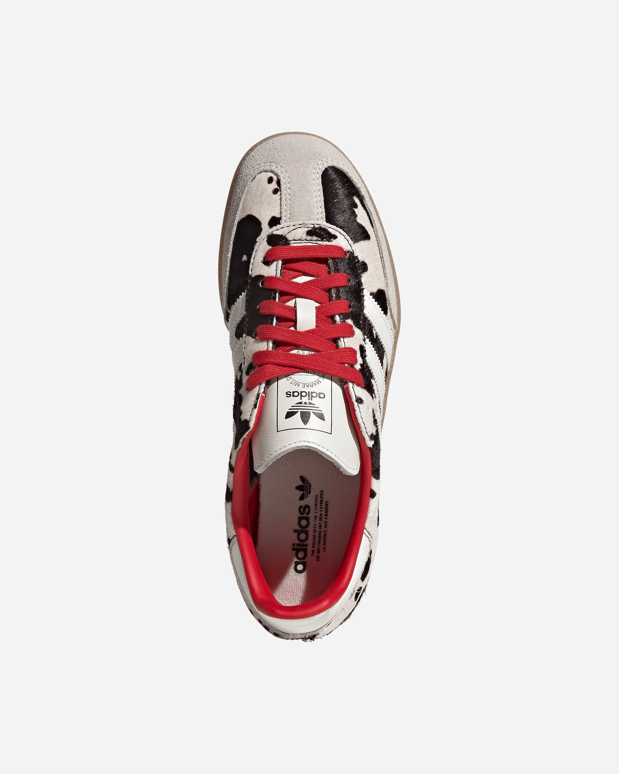 Samba OG - Image 4