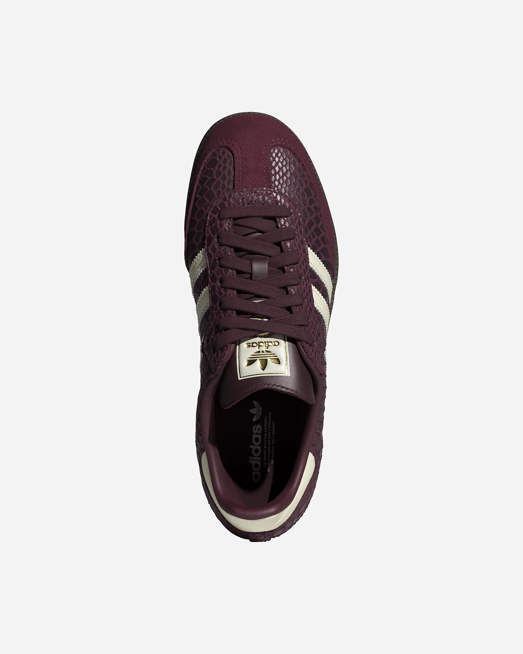 Samba OG - Image 4