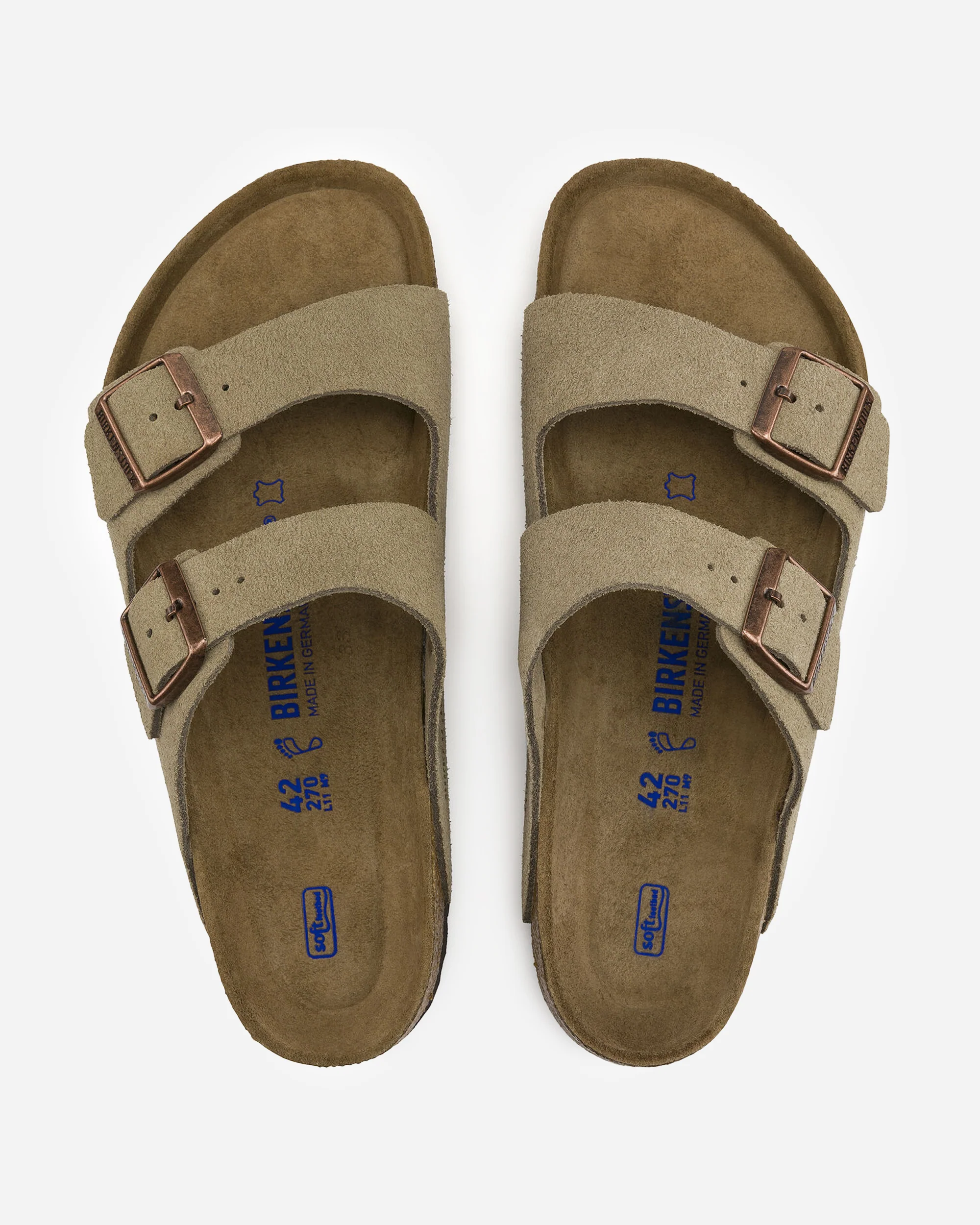 Arizona SFB - Image 4