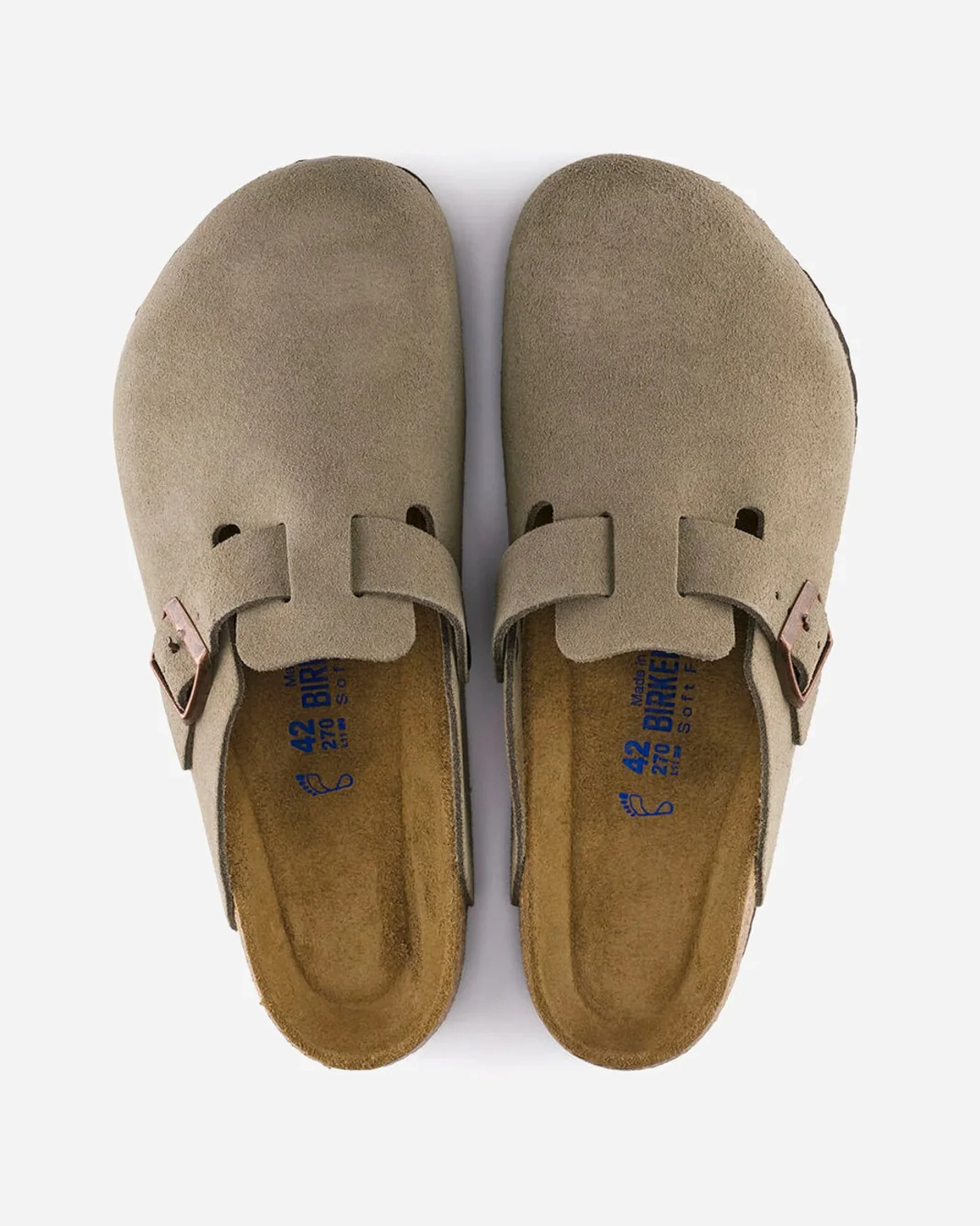 Boston SFB LEVE - Image 4