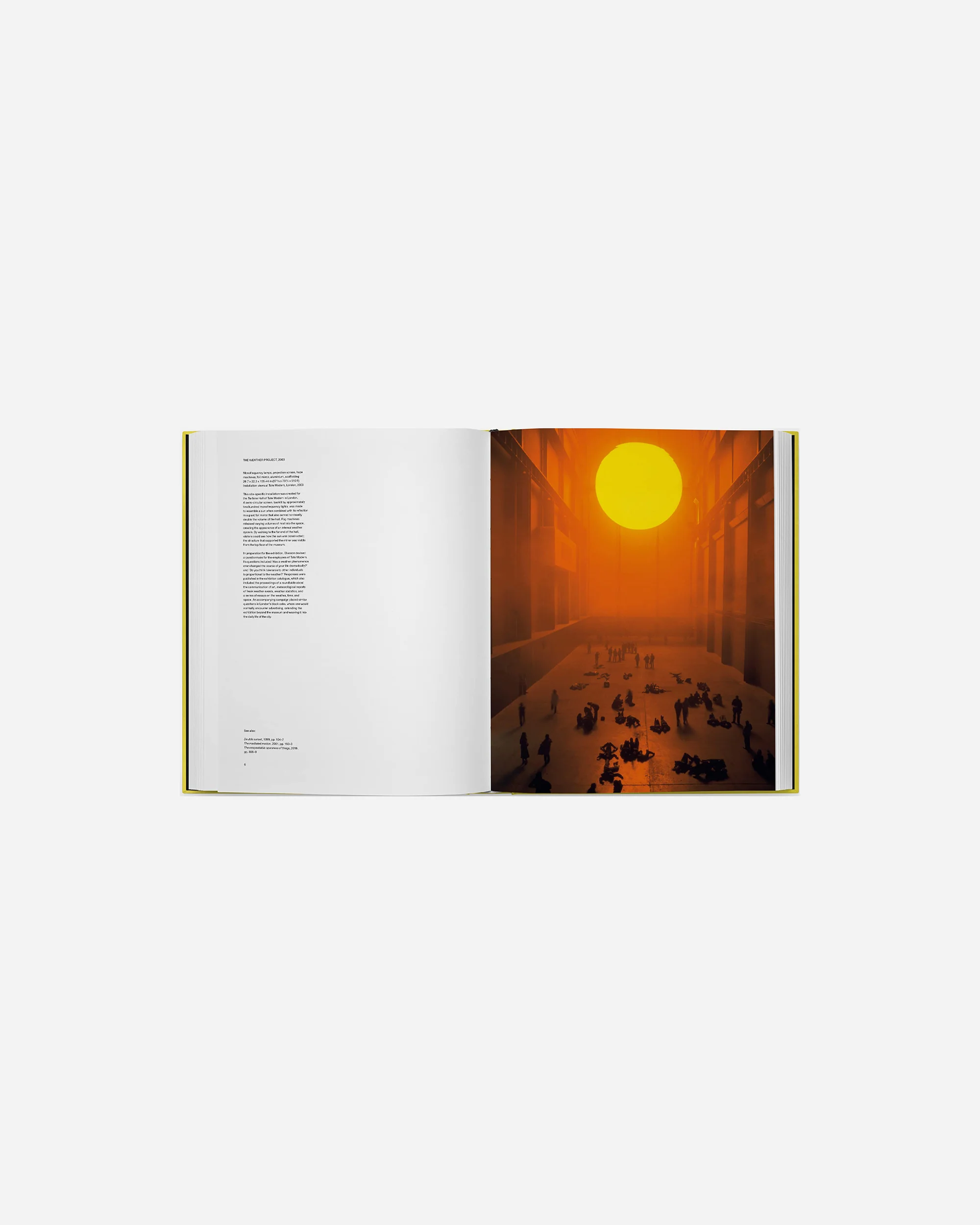 Olafur Eliasson, Experience - Image 6